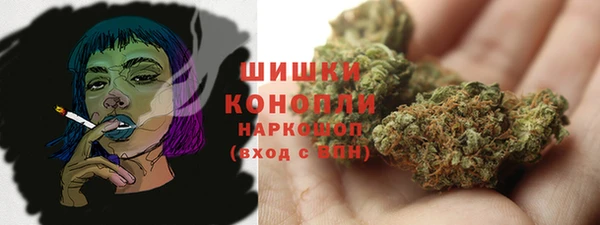 ПСИЛОЦИБИНОВЫЕ ГРИБЫ Алзамай