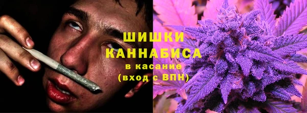 ПСИЛОЦИБИНОВЫЕ ГРИБЫ Алзамай
