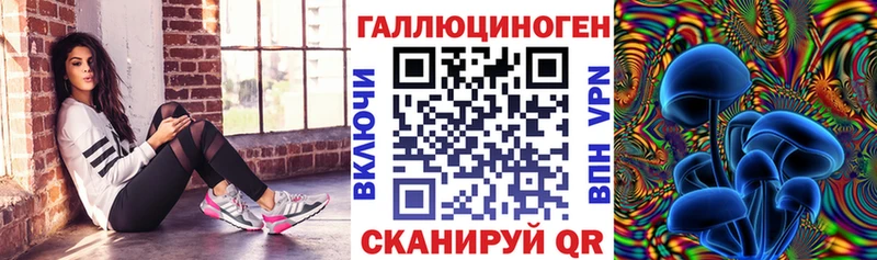 Галлюциногенные грибы Cubensis МЕГА зеркало Удомля